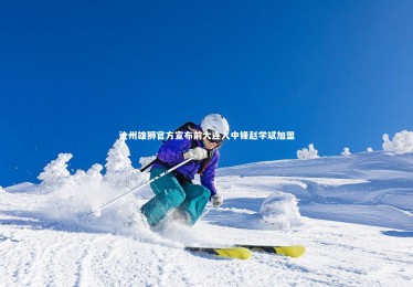 【开云官网】沧州雄狮官方宣布前大连人中锋赵学斌加盟